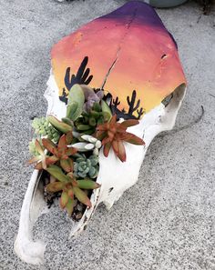 an animal skull with succulents and other plants on it's side