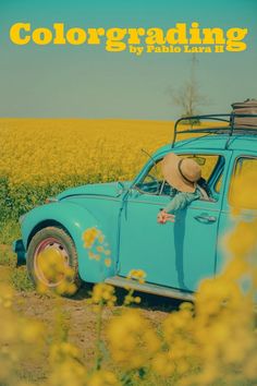 a blue vw bug parked in the middle of a field with a hat on it's head