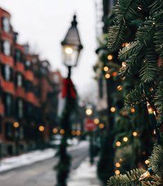 a christmas tree in front of a street light on a city street with buildings behind it