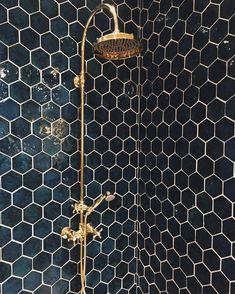 a gold shower head and hand held shower faucet in front of a blue tiled wall