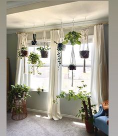 a living room filled with lots of plants and hanging potted plants on the windowsill