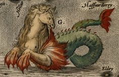 a drawing of a mermaid and a sea horse in the ocean with words written below it