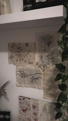 several pieces of paper are hanging on the wall next to a potted plant and bookshelf