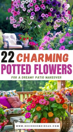 flowers that are hanging from the side of a wooden bench with text overlay reading 22 charming potted flowers for a dreamy patio makeover