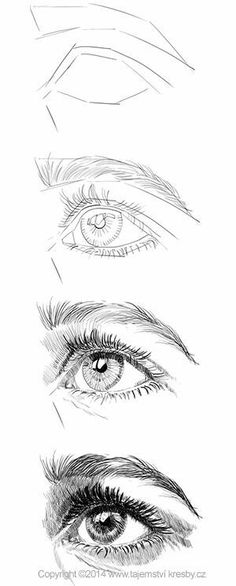 an image of different types of eyes