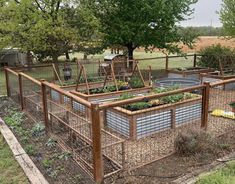 an outdoor vegetable garden in a fenced off area