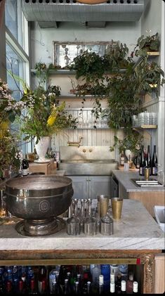 a kitchen filled with lots of bottles and plants