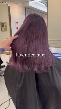 Lavender Black Hair, Black And Lavender Hair, Dark Lilac Hair, Chocolate Lavender Hair, Dark Lavender Hair, Lavender Brown Hair, Pink Lavender Hair, Purple Tinted Hair, Hair Color Lavender