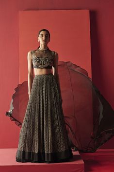 Ridhi Mehra-Black Blouse With Skirt-INDIASPOPUP.COM Shaadi Dresses, Blouse With Skirt, Organza Cape, Black Embroidered Blouse, Ridhi Mehra, Blouse Yoke, Printed Lehenga, Saree Blouses, Embroidered Skirt