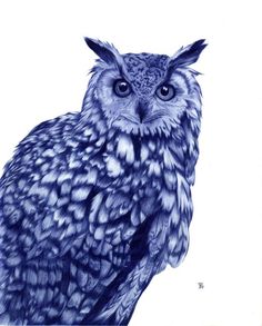 an owl is shown in blue and white