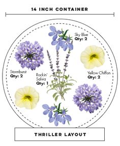 the different flowers are labeled in this diagram