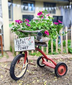 a red tricycle with potted plants on the back and a sign that says pat't power