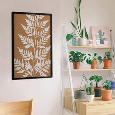 some plants are sitting on shelves in front of a white wall and a wooden chair