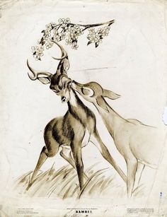 an old drawing of two deer with flowers on their antelope's head