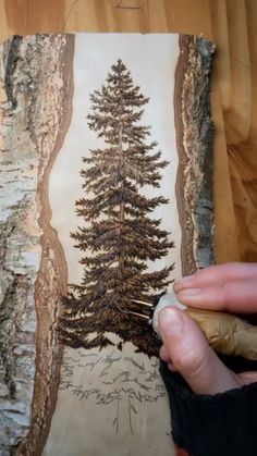 a person holding a piece of paper in front of a painting on a tree trunk