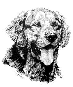 a black and white drawing of a dog