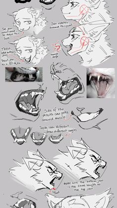 drawing tips Cat Drawing Tutorial, Cats Art Drawing, Cat Anatomy, Warrior Cat Drawings, Creative Drawing Prompts, Warrior Cats Art, Sketches Tutorial, Concept Art Drawing, Warrior Cat