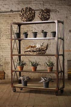 several potted plants sitting on top of a metal shelf in front of a brick wall