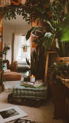 a living room with plants and pictures on the floor