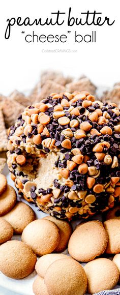 peanut butter cheese ball on a plate with chocolate chips and graham crackers around it