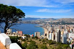 a view of a city and the ocean from atop a hill