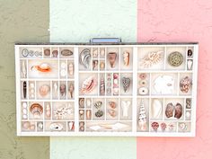 a white box filled with lots of different types of seashells on top of a pink and green wall