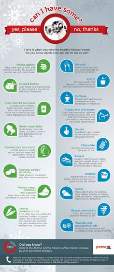 an info sheet with different types of snowflakes and other things to see on it