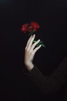 a man holding a red rose in his hand