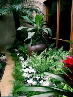 a large potted plant sitting in the middle of a lush green garden with white and red flowers