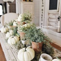 white pumpkins and greenery are lined up on a table