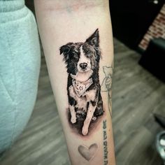 a black and white dog with a heart tattoo on the arm