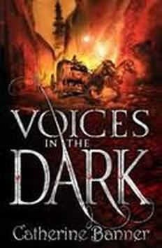 the cover to voice in the dark by catherine banner, with an image of