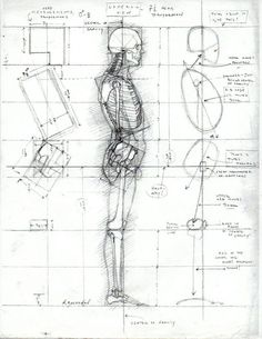 a drawing of a human figure is shown