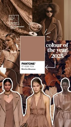 pantone's color of the year for fall / winter 2012 - 2013 is brown