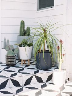 several potted plants are sitting on a black and white tiled porch