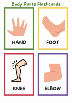 four different types of hands and feet with the words body parts flashcards on them