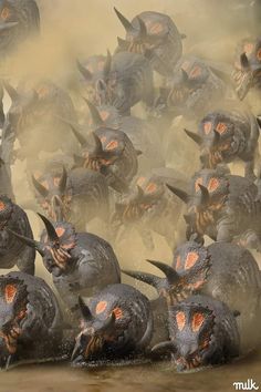 a herd of horned animals running across a dirt field