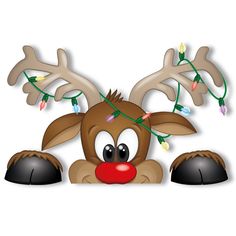 reindeer with christmas lights on his antlers peeking out from behind a blank sign photo