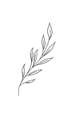 a single line drawing of a leaf