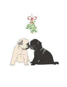 two black and white pug puppies sitting next to each other under a mistlet