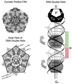 the diagram shows different types of double hexagonals and their corresponding structures in which they appear to be interlocked