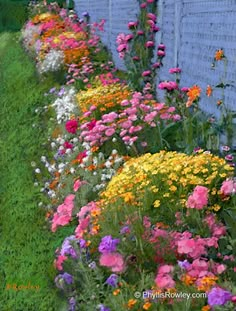 colorful flowers line the side of a building in front of a brick wall and grass