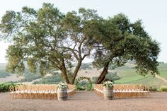 an outdoor ceremony setup with chairs and tables under a large tree in the middle of a field