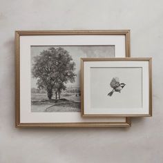 two framed pictures hang on the wall next to each other, one with a bird flying over it