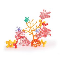 an assortment of colorful corals and seaweed on a white background