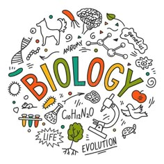 the word biology surrounded by hand drawn doodles and other things on a white background