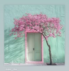 a tree with pink flowers in front of a green wall and an open door on the outside