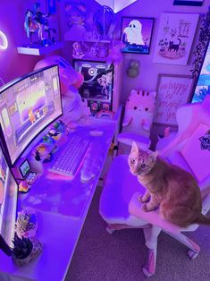 a cat sitting on a chair in front of a computer desk with a purple light