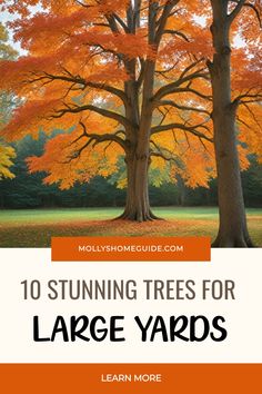 trees with orange leaves and the words, 10 stunning trees for large yards learn more