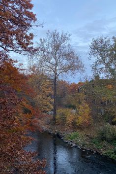 a river running through a forest filled with lots of fall colored trees and leaves on the ground